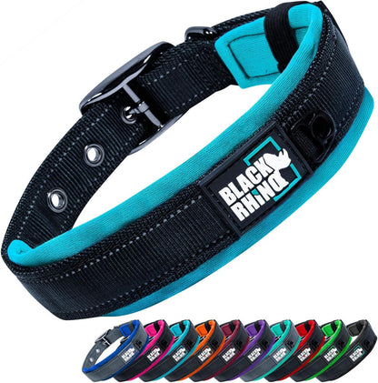 Medium Dogs  Collars 