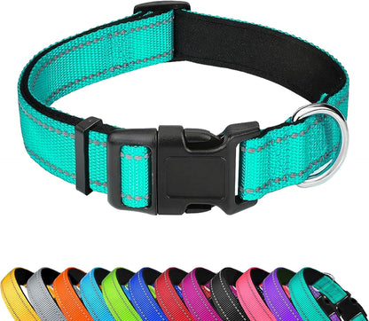 Dog Collar 