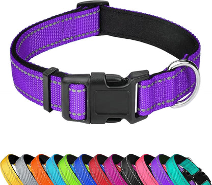 Dog Collar 