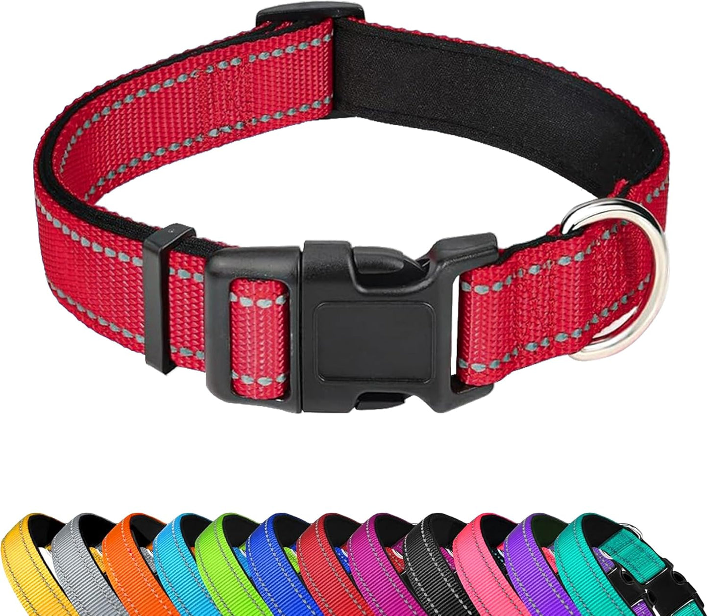 Dog Collar 