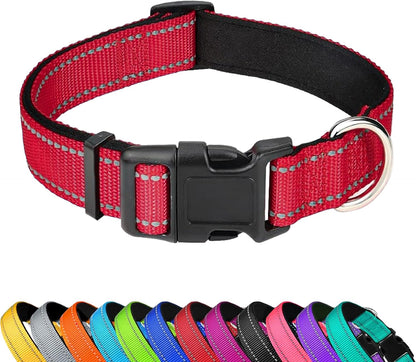 Dog Collar 