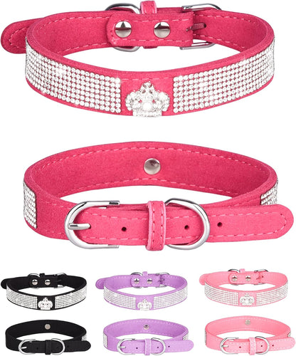 Young Dog Collar