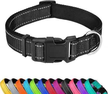 Dog Collar 