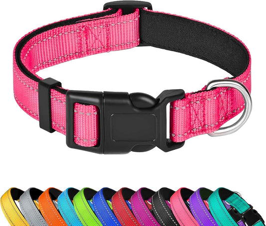 Dog Collar 