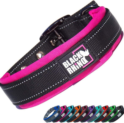 Medium Dogs  Collars 