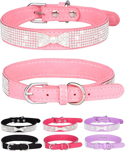 Young Dog Collar