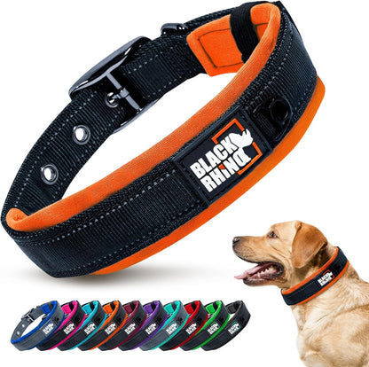 Medium Dogs  Collars 