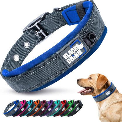 Medium Dogs  Collars 