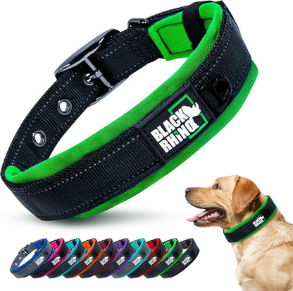 Medium Dogs  Collars 