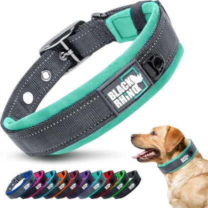 Medium Dogs  Collars 