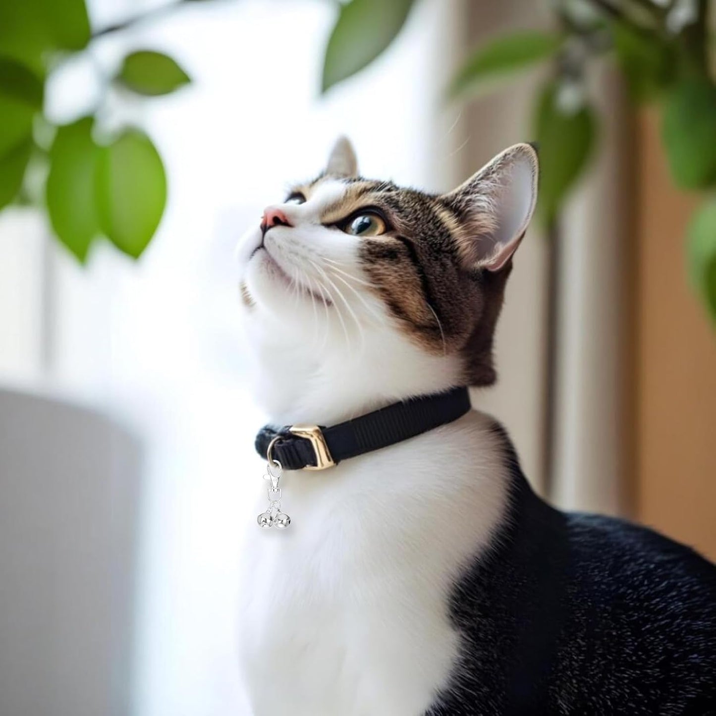Mini Dog and Cat Collar Bells