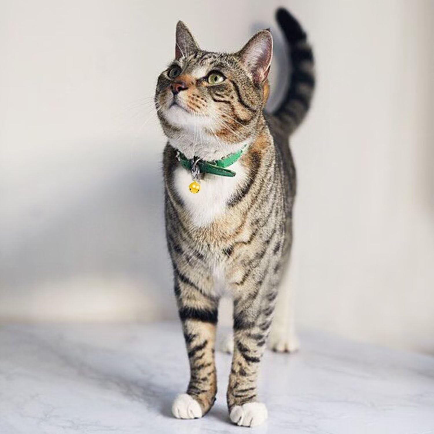 Dogs /Cats Collar Bells