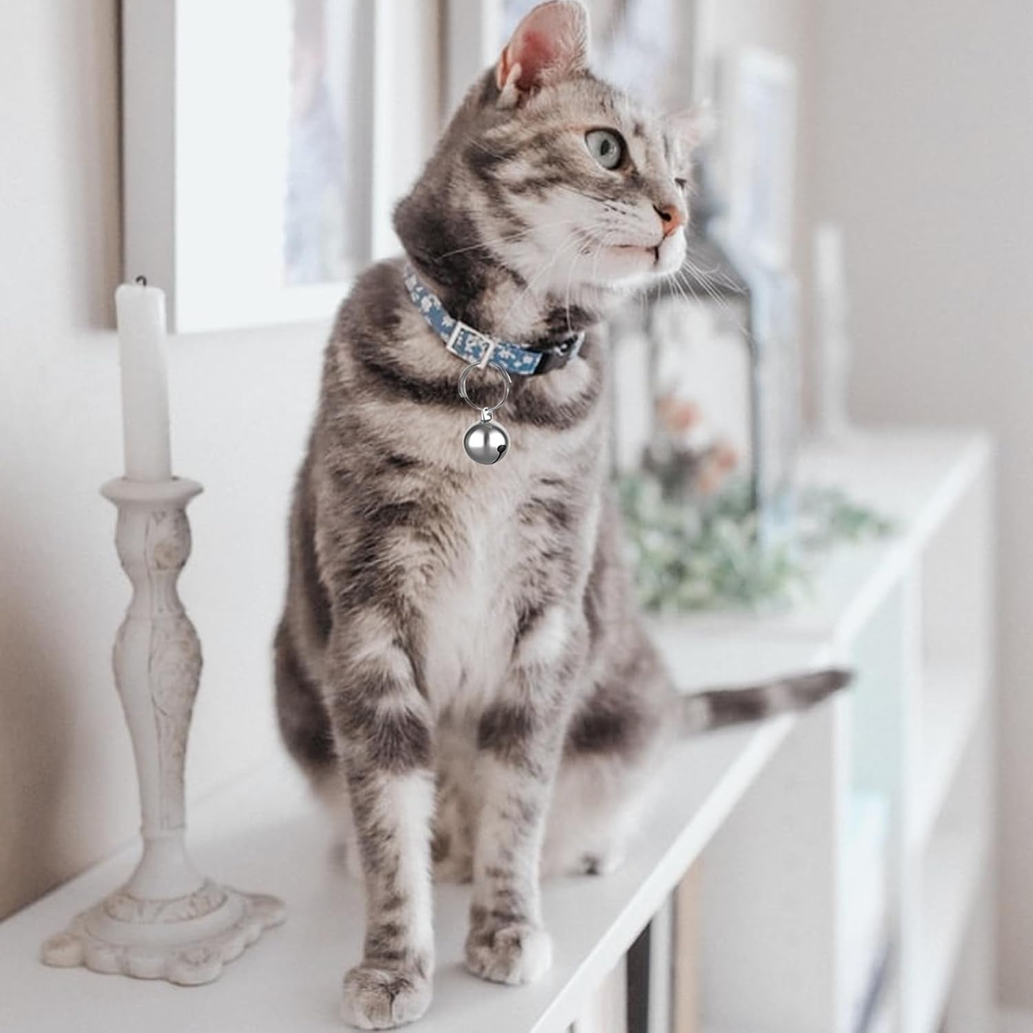 Dog Cat Colla Charm Bells 